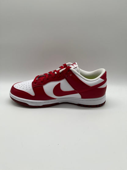 Nike Dunk Low Next Nature "Gym Red" (Womens)- DN1431-101